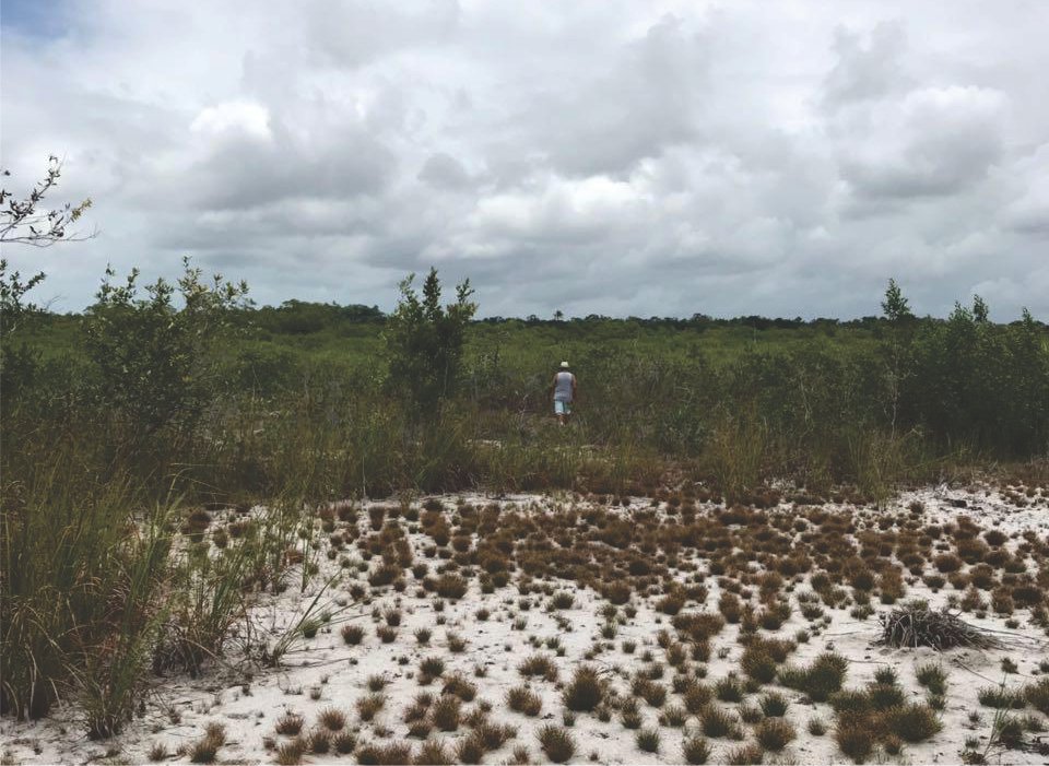 boipeba 2