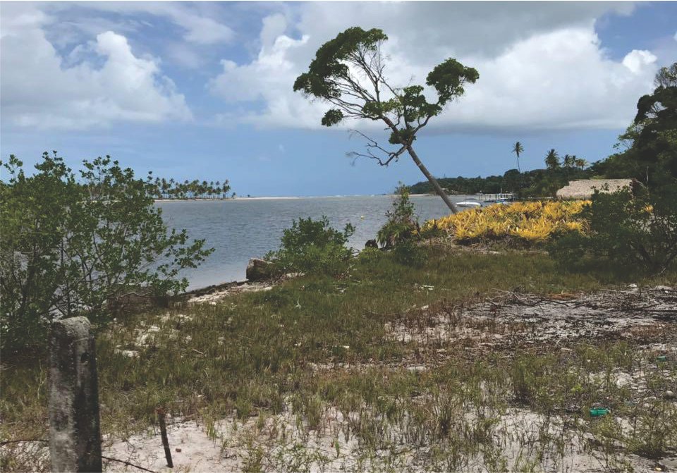 boipeba 6