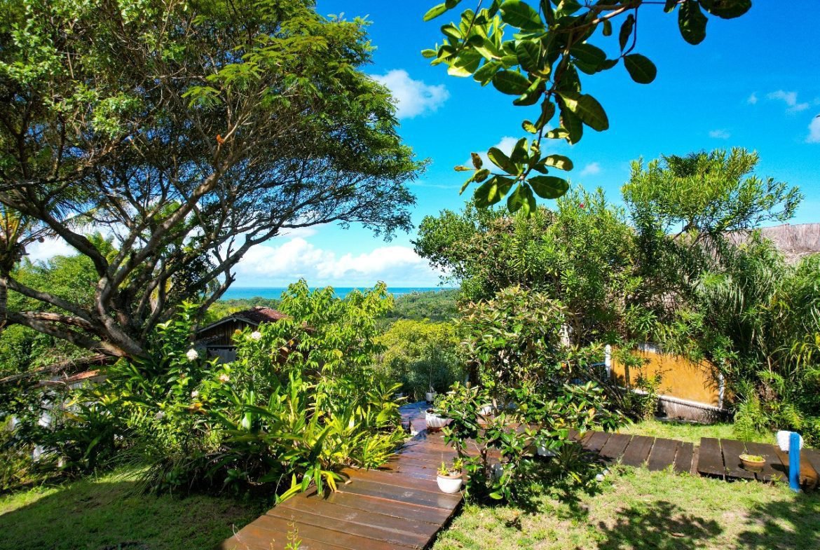 boipeba bahia 1