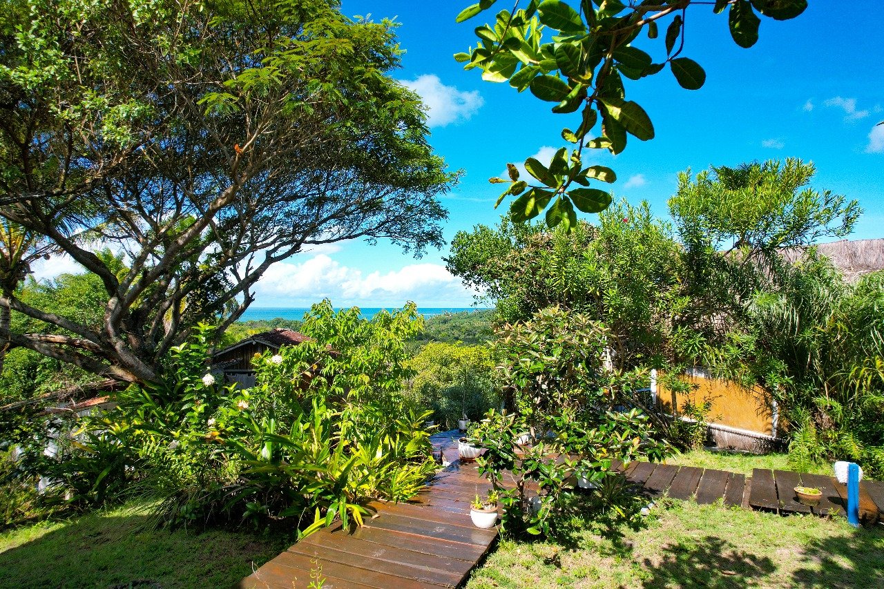 boipeba bahia 1