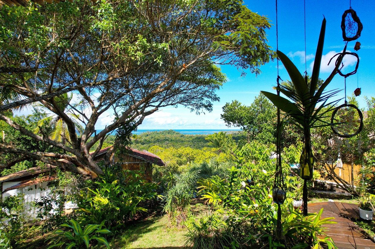 boipeba bahia 11 1
