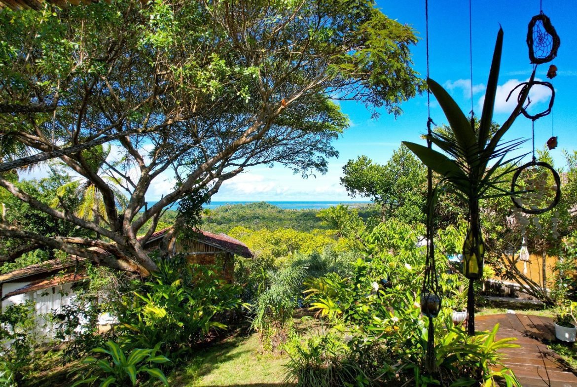 boipeba bahia 11