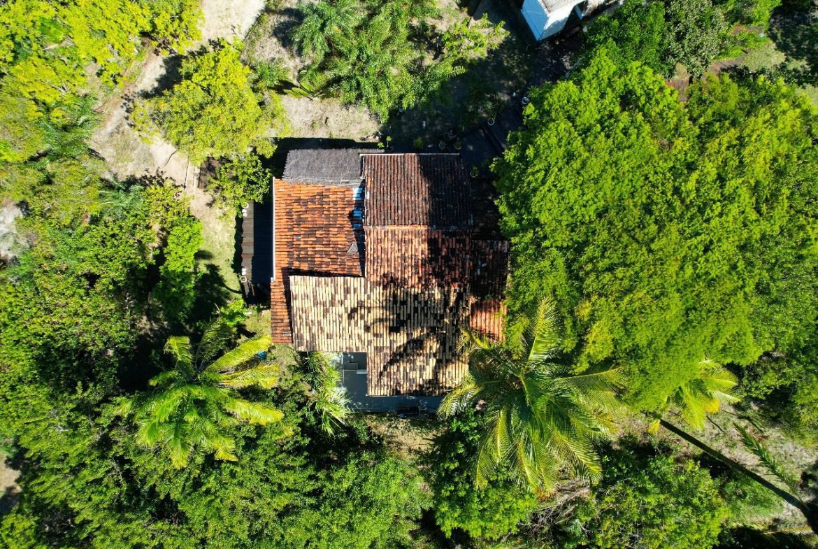 boipeba bahia 12 1