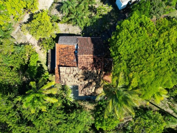 boipeba bahia 12 1