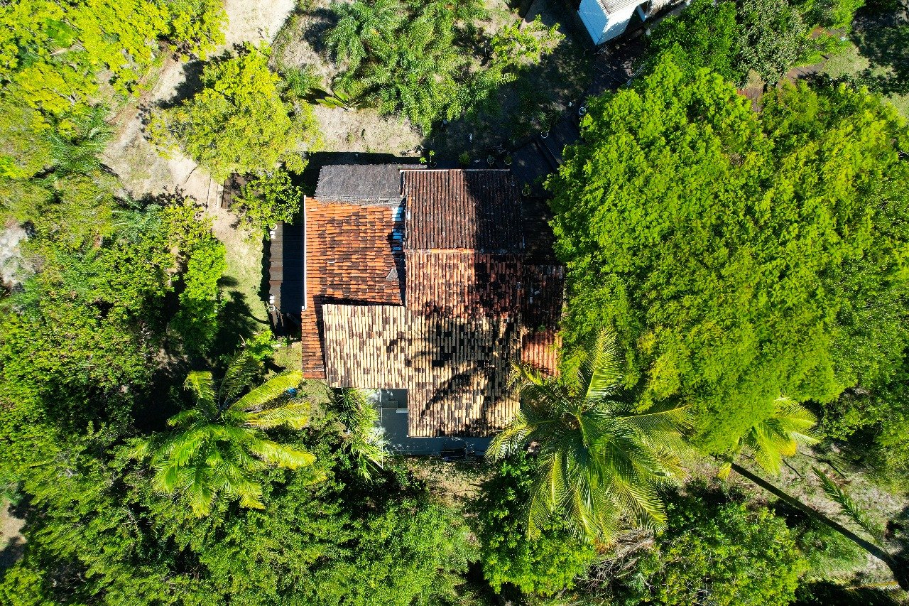 boipeba bahia 12 1