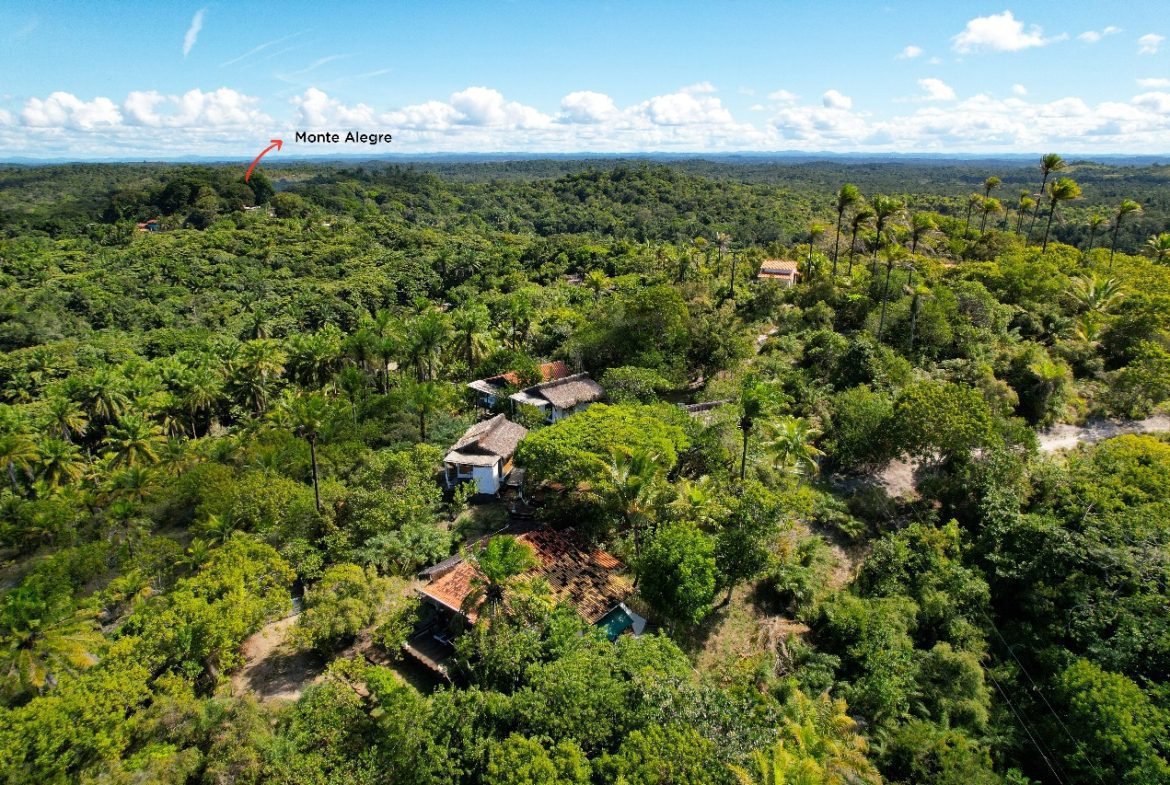 boipeba bahia 14