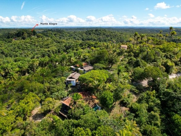 boipeba bahia 14