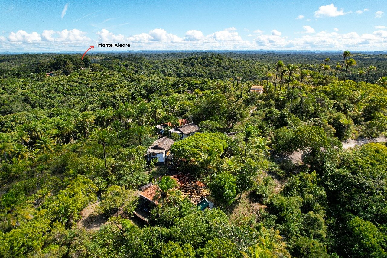 boipeba bahia 14