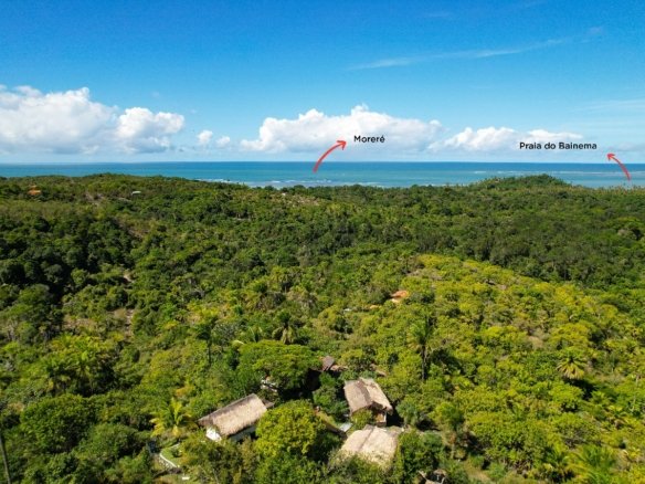 boipeba bahia 2