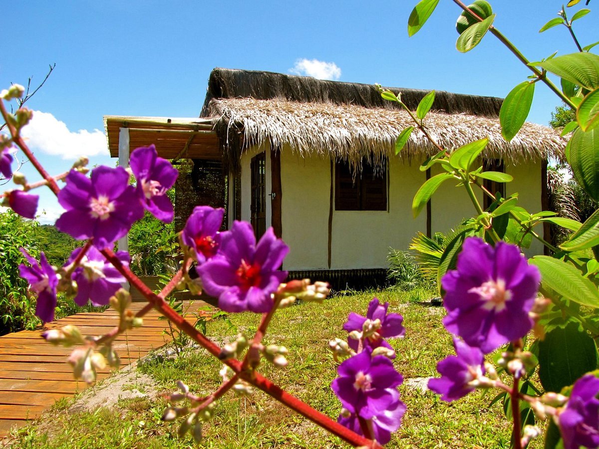 casa bobo boipeba 12