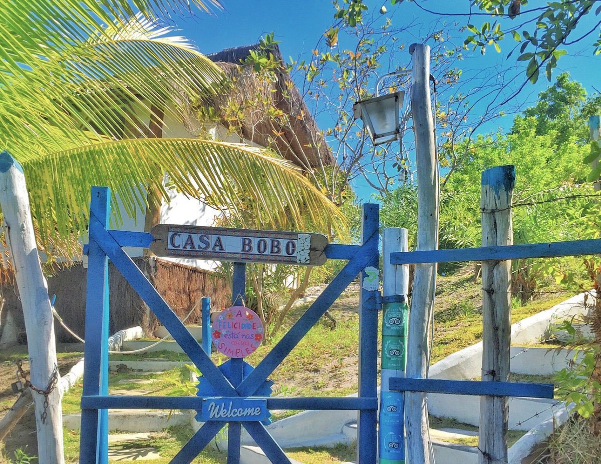 casa bobo boipeba 14