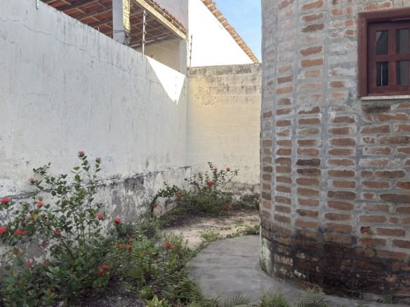 guaibim bahia 1 scaled