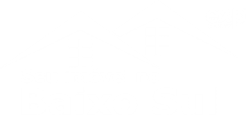 logo branca