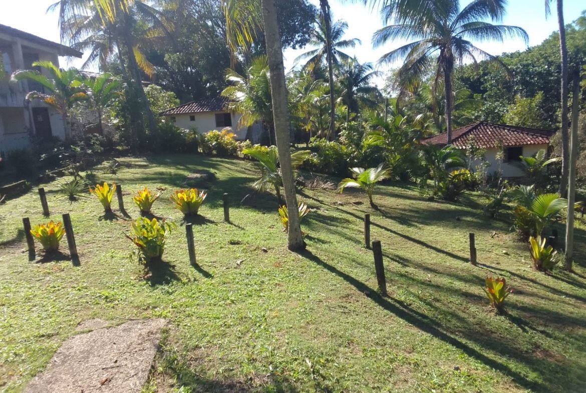 mangaba morro de sao paulo 32