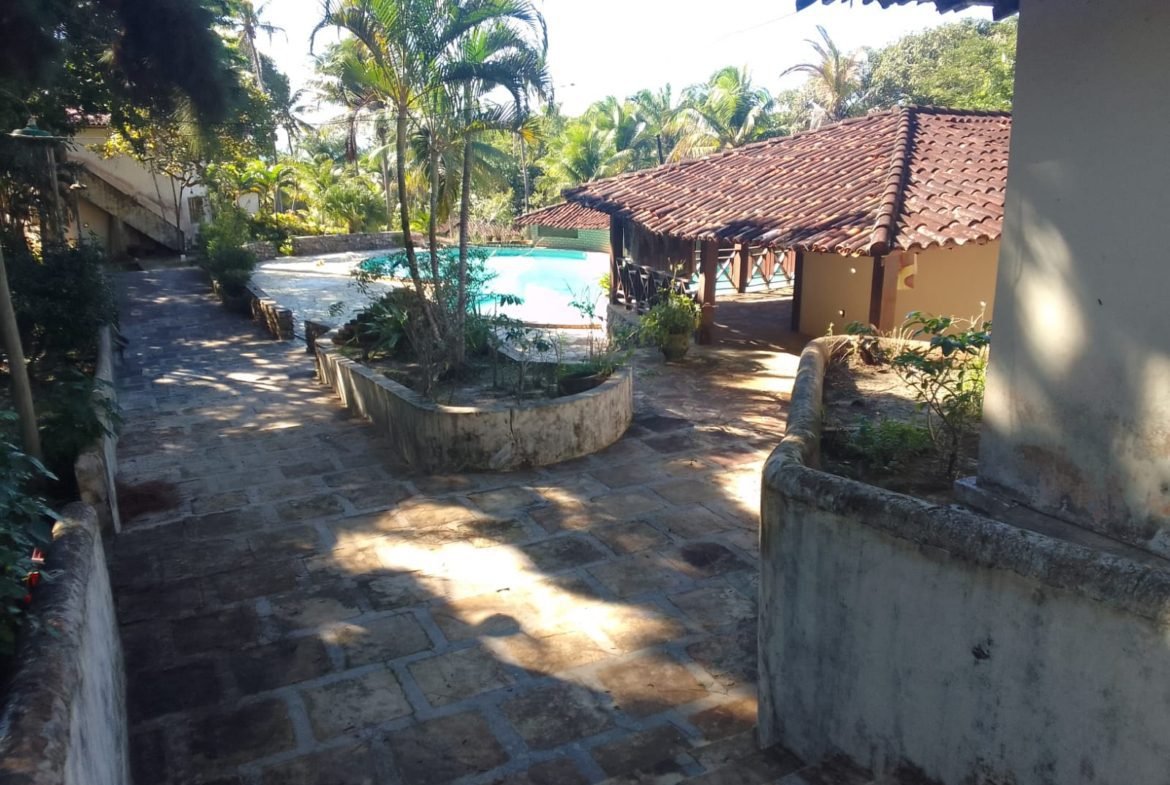 mangaba morro de sao paulo 34