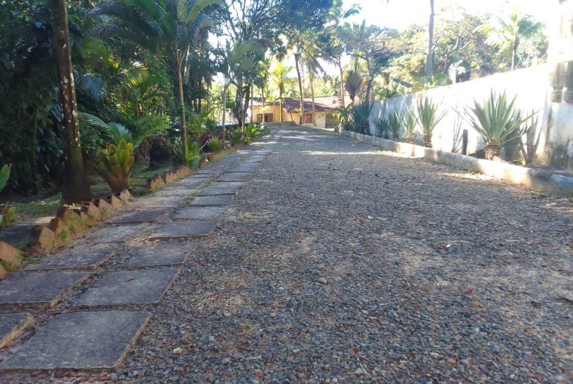 mangaba morro de sao paulo 39