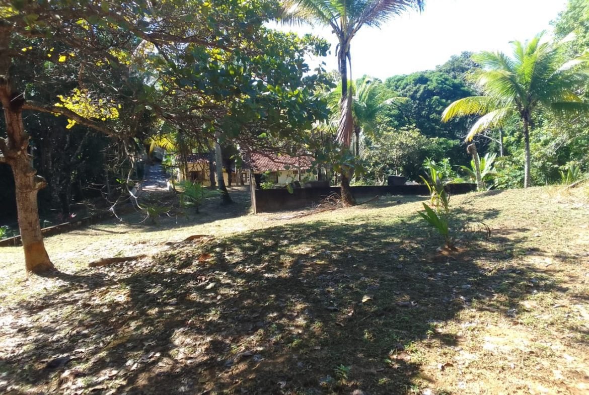 mangaba morro de sao paulo 45