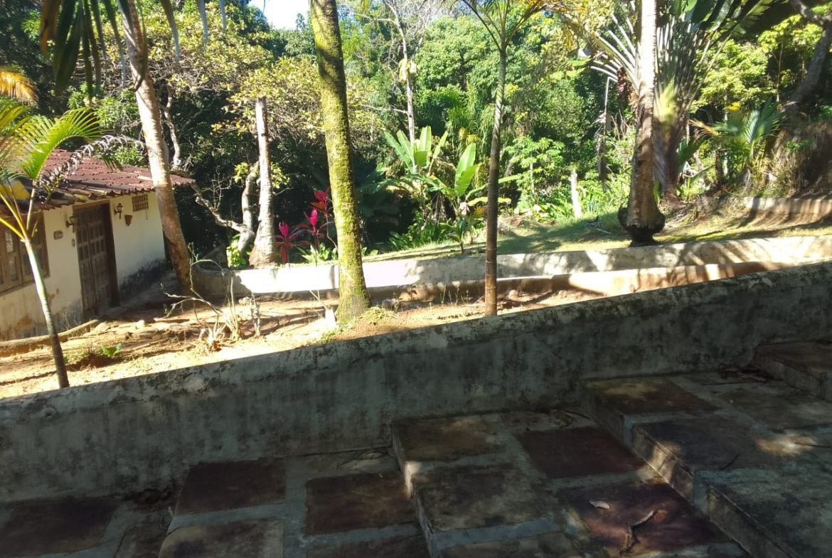 mangaba morro de sao paulo 47