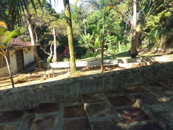 mangaba morro de sao paulo 47
