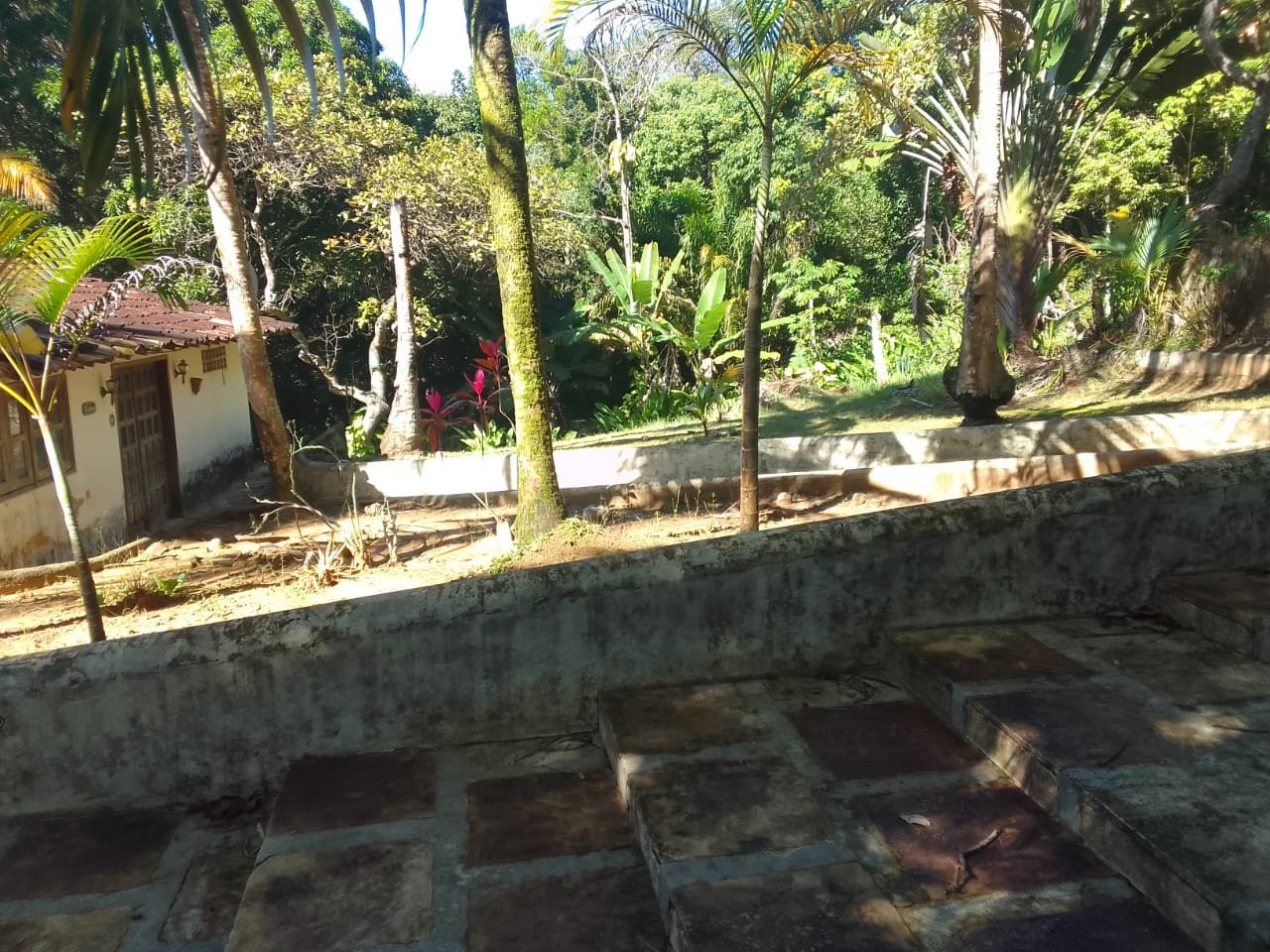mangaba morro de sao paulo 47