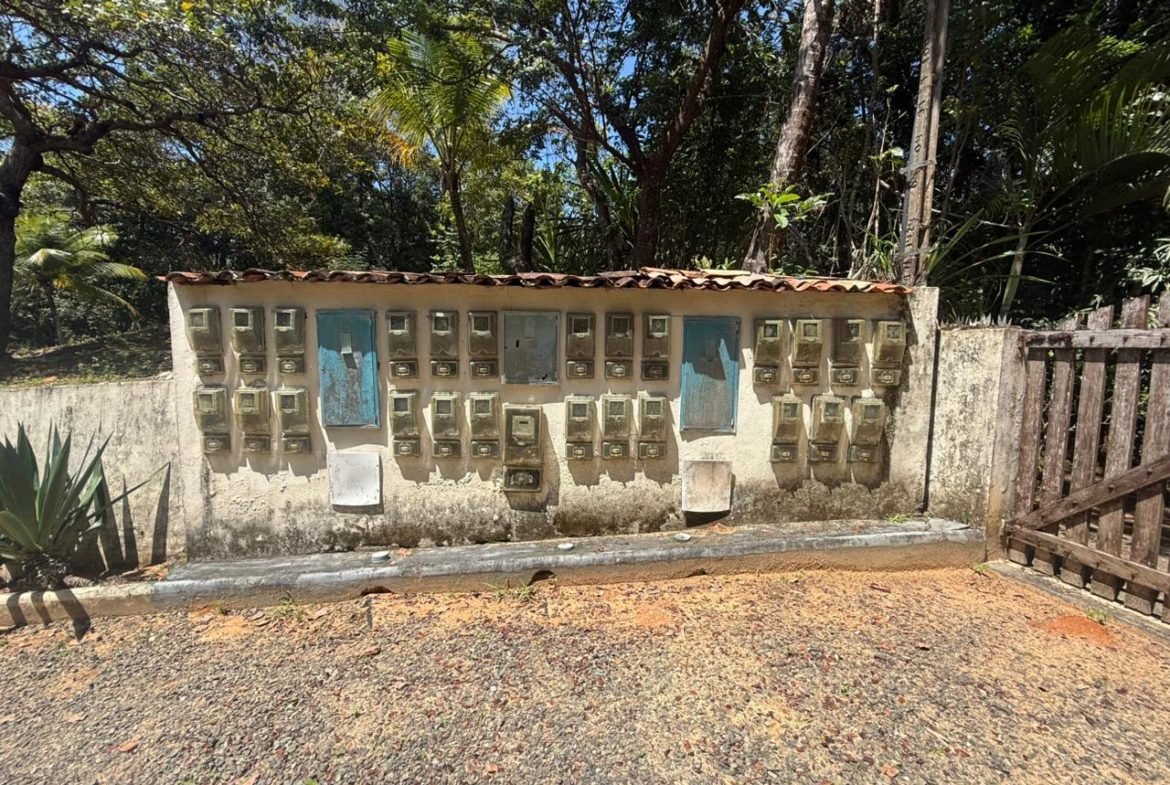 mangaba morro de sao paulo 51