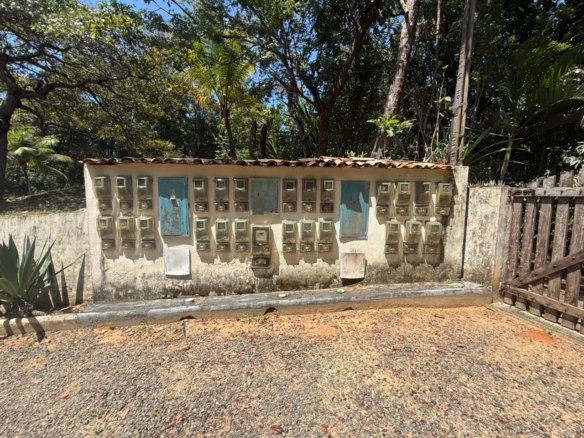 mangaba morro de sao paulo 51