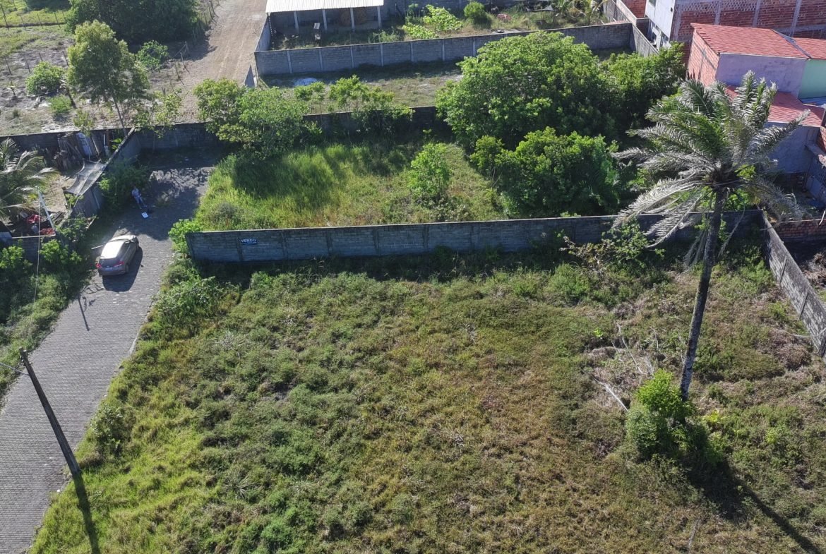 praia de guaibim 6 scaled