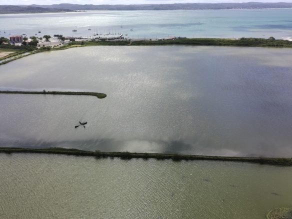 salinas da margarida baia de todos os santos 17 scaled