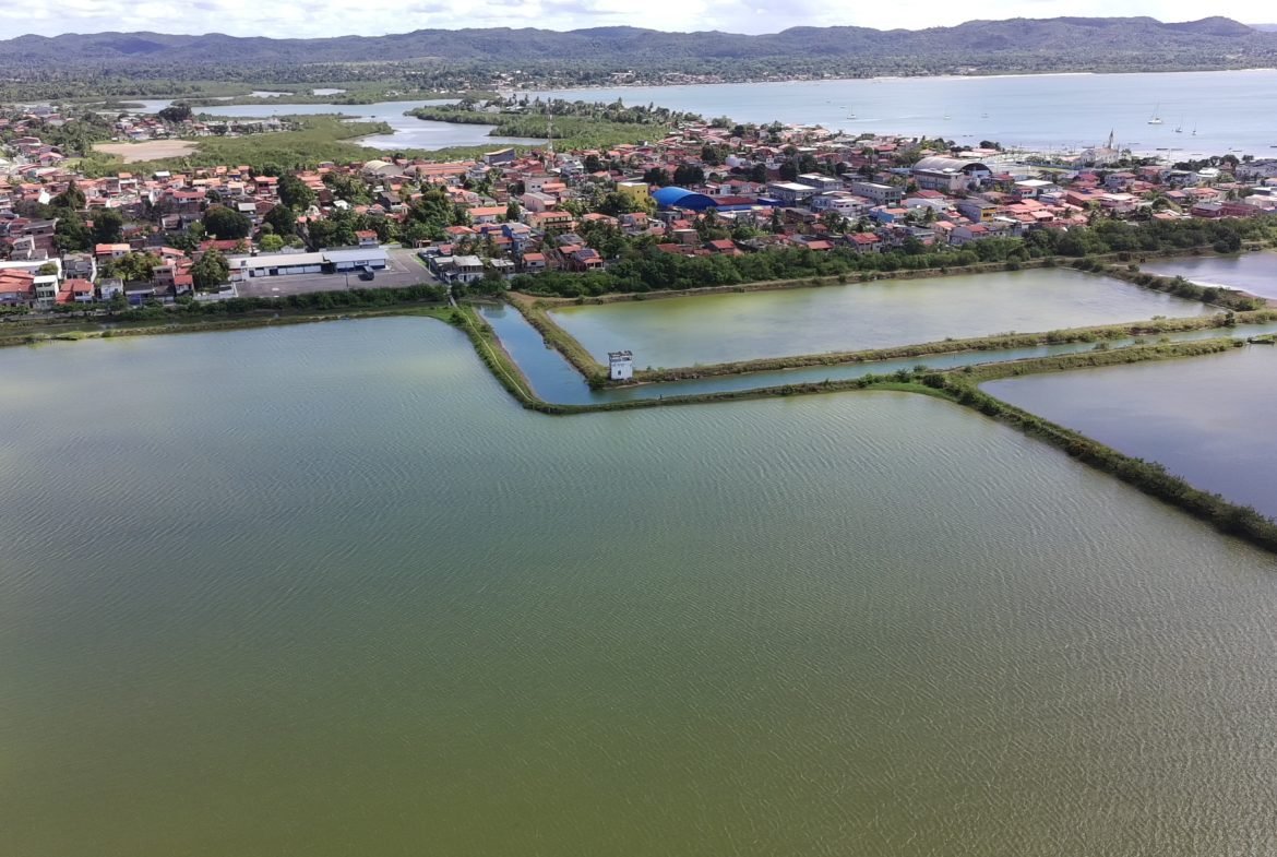 salinas da margarida baia de todos os santos 18 scaled