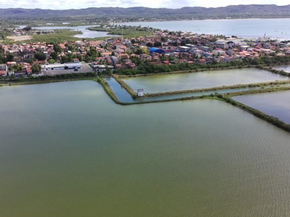 salinas da margarida baia de todos os santos 18 scaled