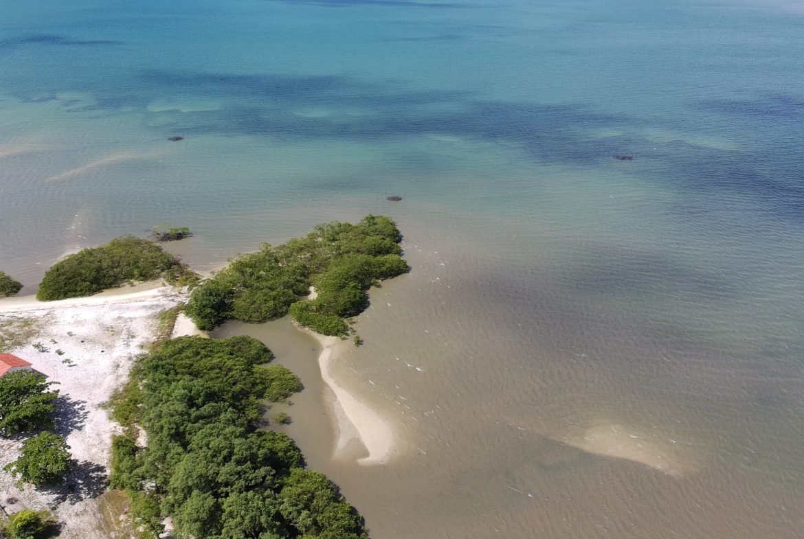 salinas da margarida baia de todos os santos 21 scaled