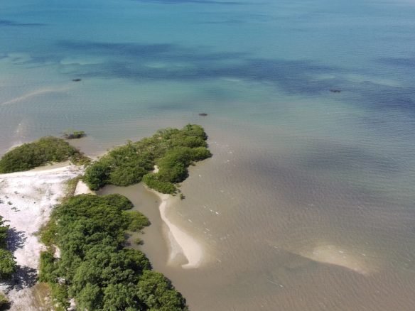 salinas da margarida baia de todos os santos 21 scaled