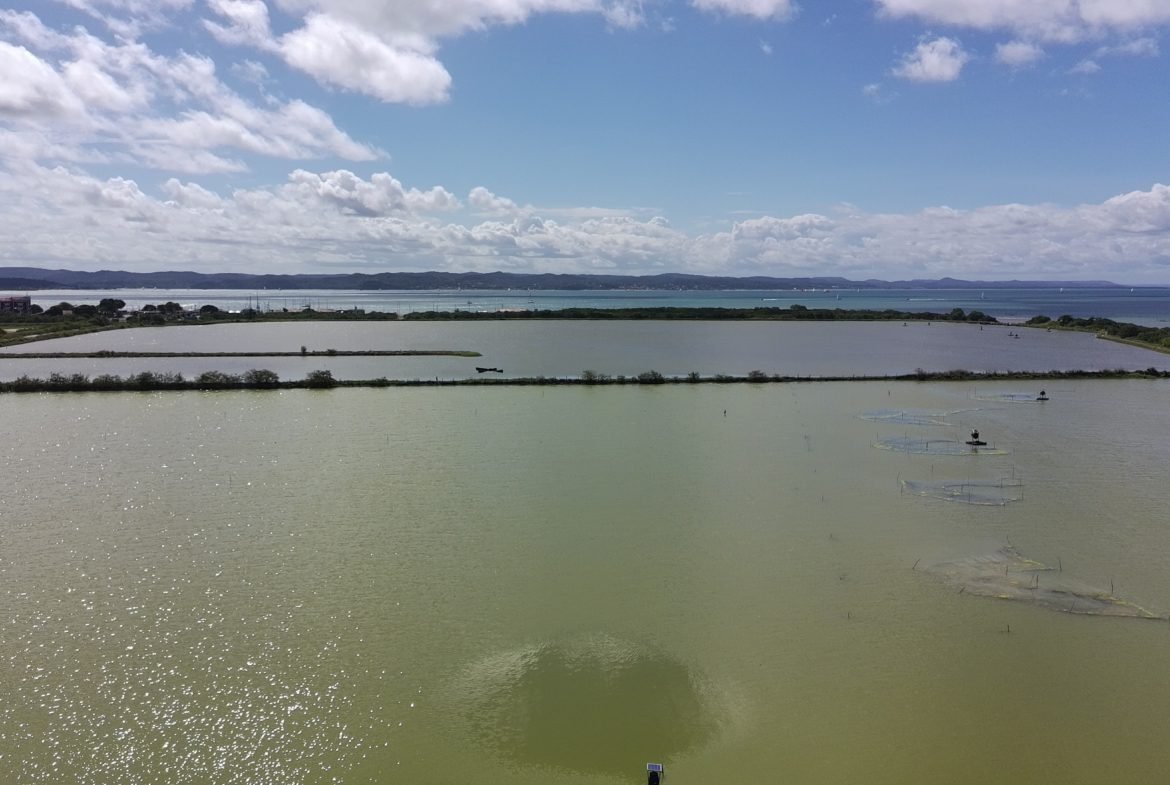 salinas da margarida baia de todos os santos 30 scaled