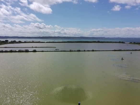 salinas da margarida baia de todos os santos 30 scaled