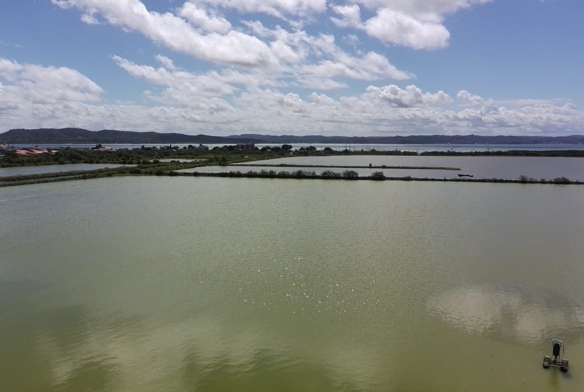 salinas da margarida baia de todos os santos 31 scaled