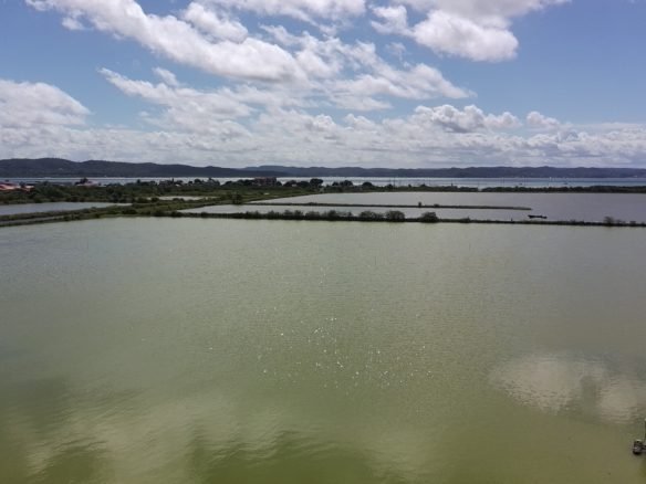 salinas da margarida baia de todos os santos 31 scaled