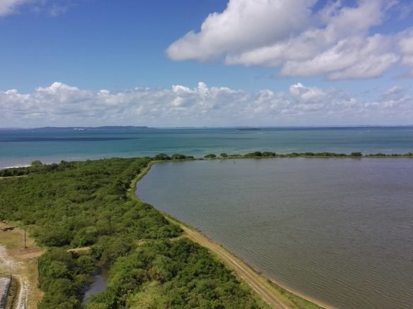 salinas da margarida baia de todos os santos 32 scaled