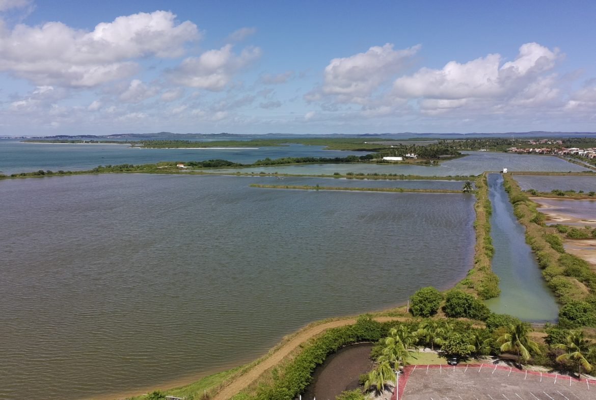 salinas da margarida baia de todos os santos 33 scaled