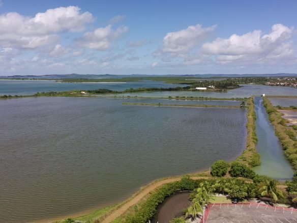 salinas da margarida baia de todos os santos 33 scaled