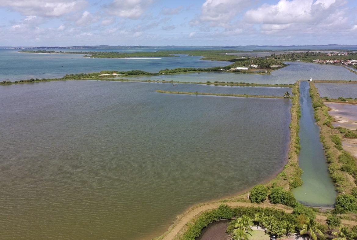 salinas da margarida baia de todos os santos 34 scaled