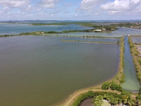 salinas da margarida baia de todos os santos 34 scaled