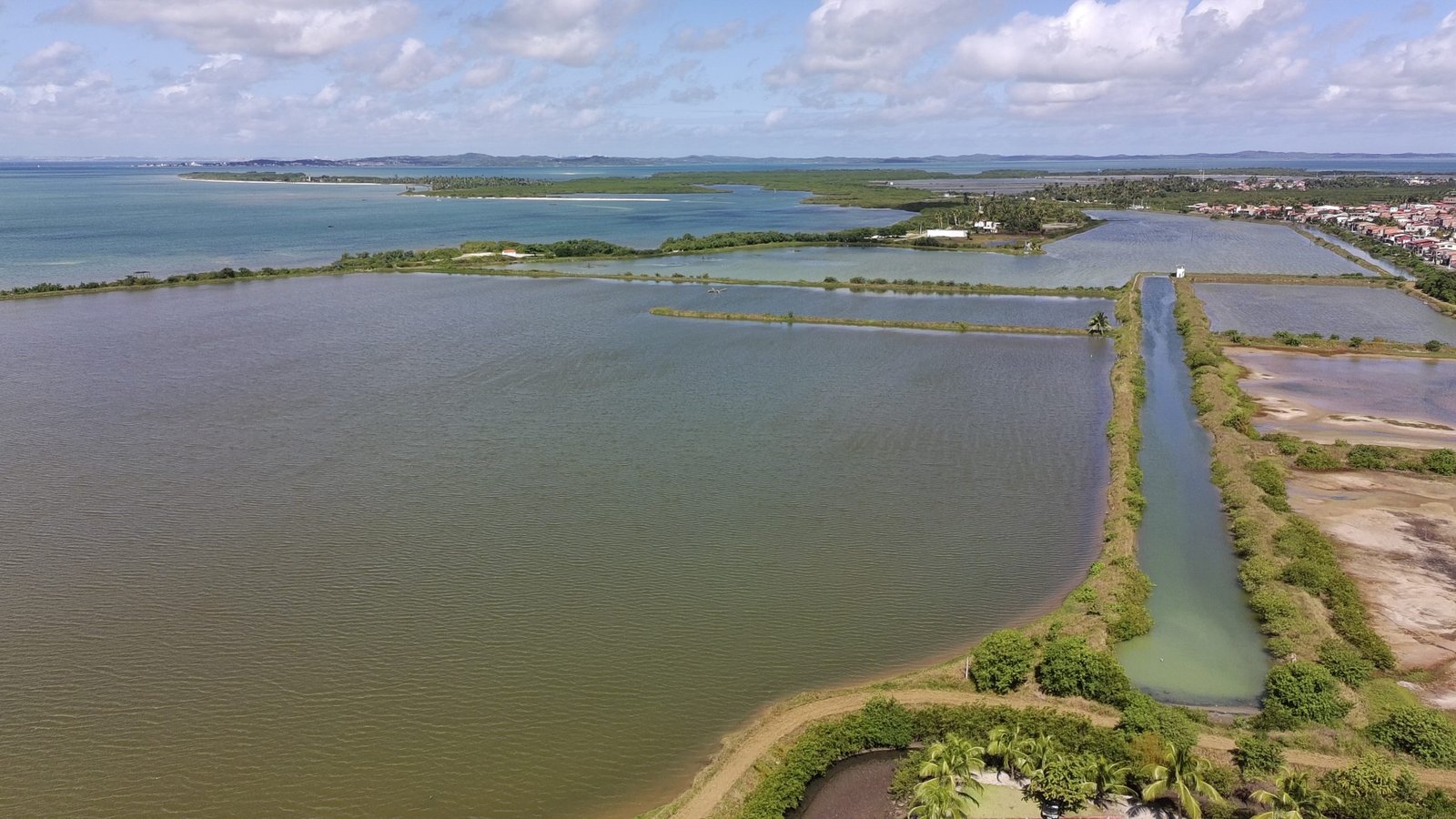 salinas da margarida baia de todos os santos 34 scaled