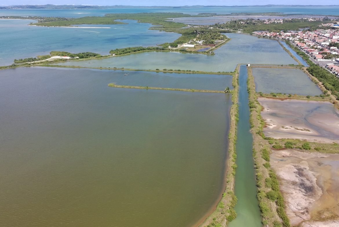 salinas da margarida baia de todos os santos 36 scaled