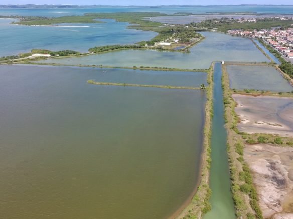 salinas da margarida baia de todos os santos 36 scaled