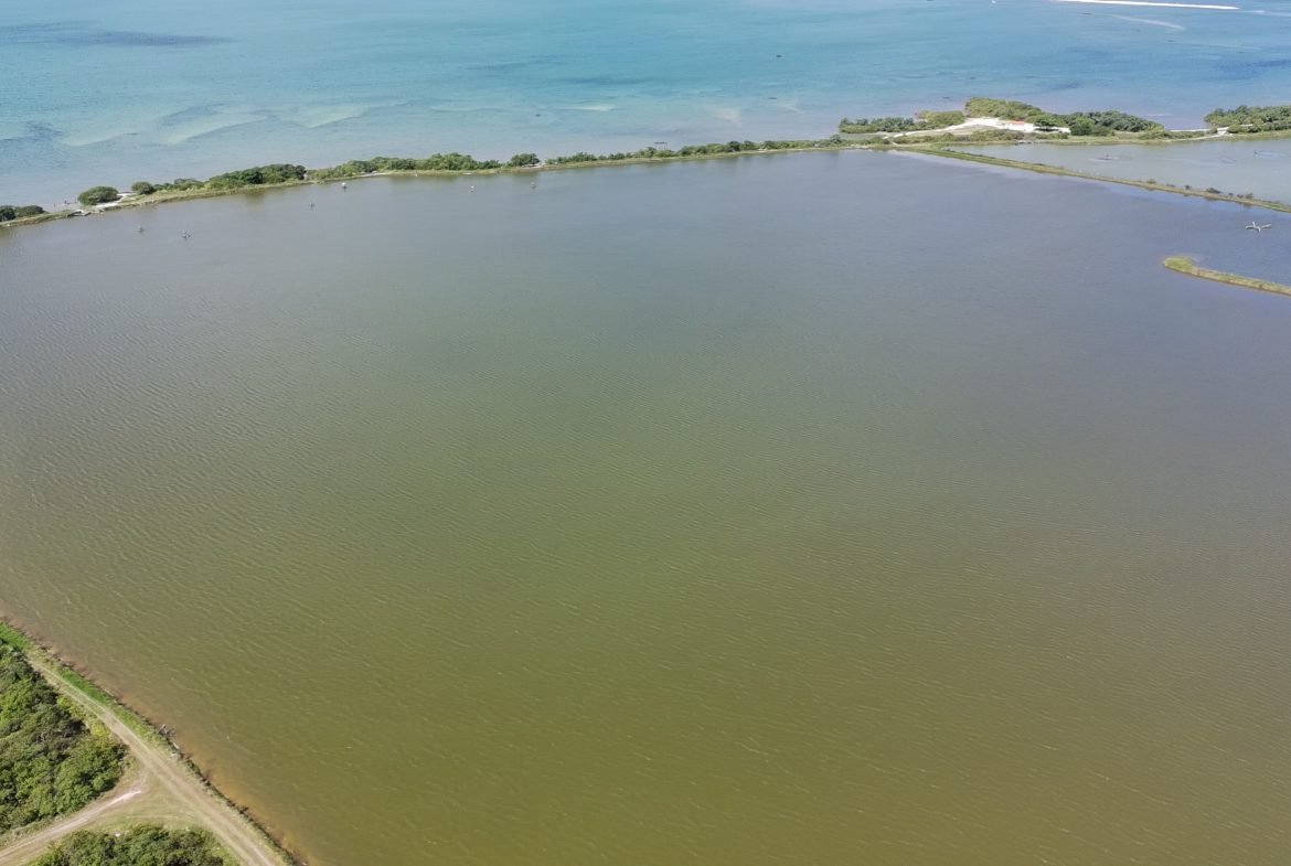salinas da margarida baia de todos os santos 37 scaled