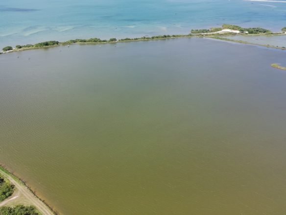 salinas da margarida baia de todos os santos 37 scaled