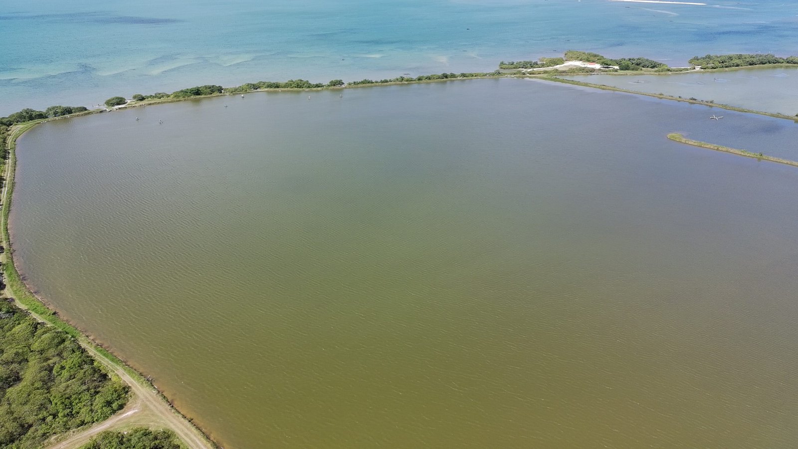 salinas da margarida baia de todos os santos 37 scaled