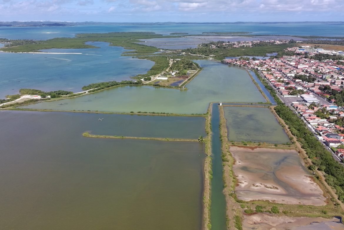 salinas da margarida baia de todos os santos 40 scaled