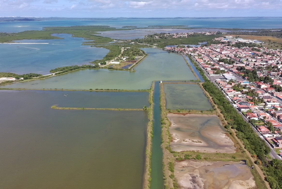 salinas da margarida baia de todos os santos 41 scaled