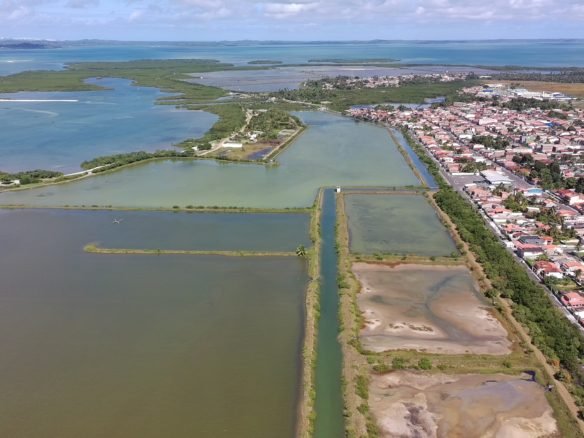 salinas da margarida baia de todos os santos 41 scaled